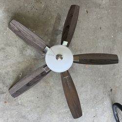 Ceiling fan – Hampton Bay