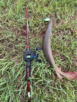 Ugly stick carbon casting rod with shimano slx