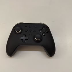 Nintendo Bluetooth Controller