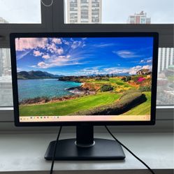 Dell 24” Monitor