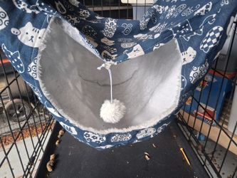 CAT Hammock