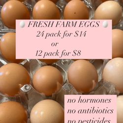 Fresh Organic Farm Eggs 