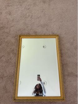 28” x 40” Ornate Gold Framed Wall Mirror