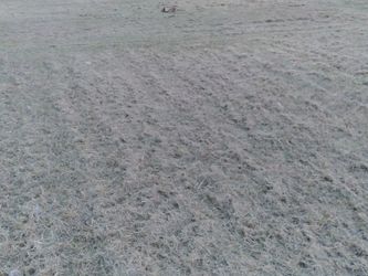 I Cut Yards Diffrent Prices