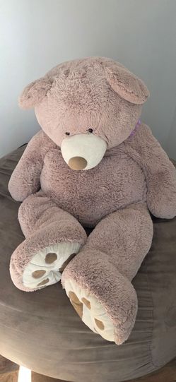 Extra Large Teddy Bear