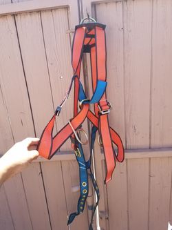 New! Harness