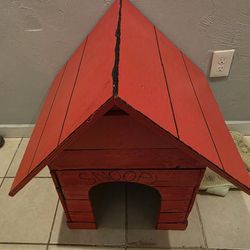 Snoopy Dog House