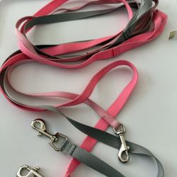 Small Dog Leashes