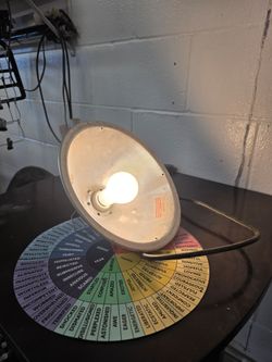 Just an old shop light in working condition and already comes with its lightbulb, just $5