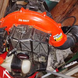 Echo Backpack Blower