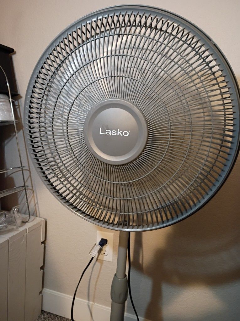 Fan
