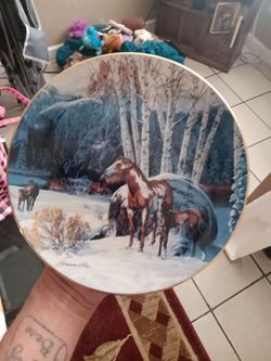 Spirit collectible plates