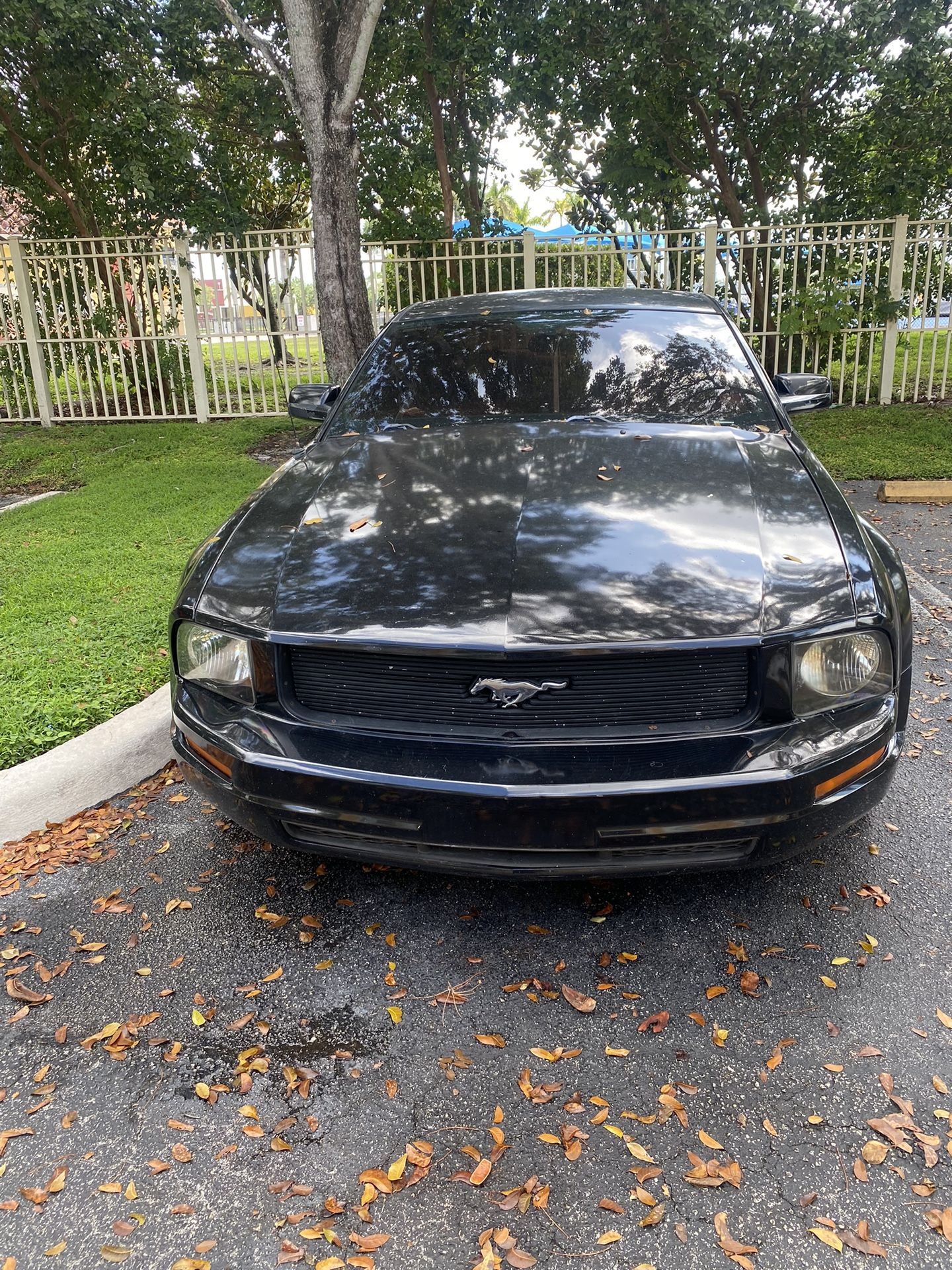 Ford Mustang 2006