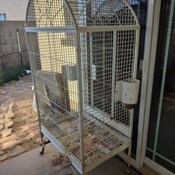 Big Bird Cage
