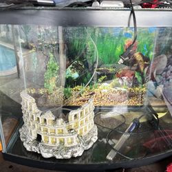 30 Gallon Fish Tank And Accessories
