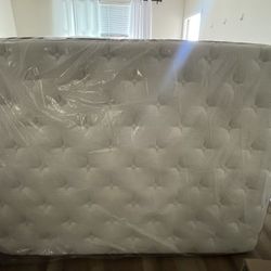 Tegeniss  Queen Mattress 12in