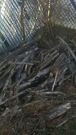Free wood to burn