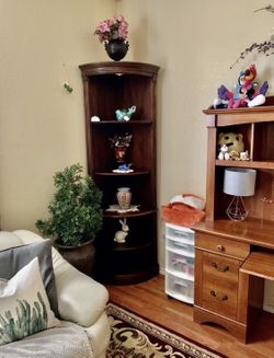 Curio Display