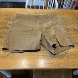 Patagonia Shorts