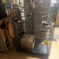 Bird  Cage