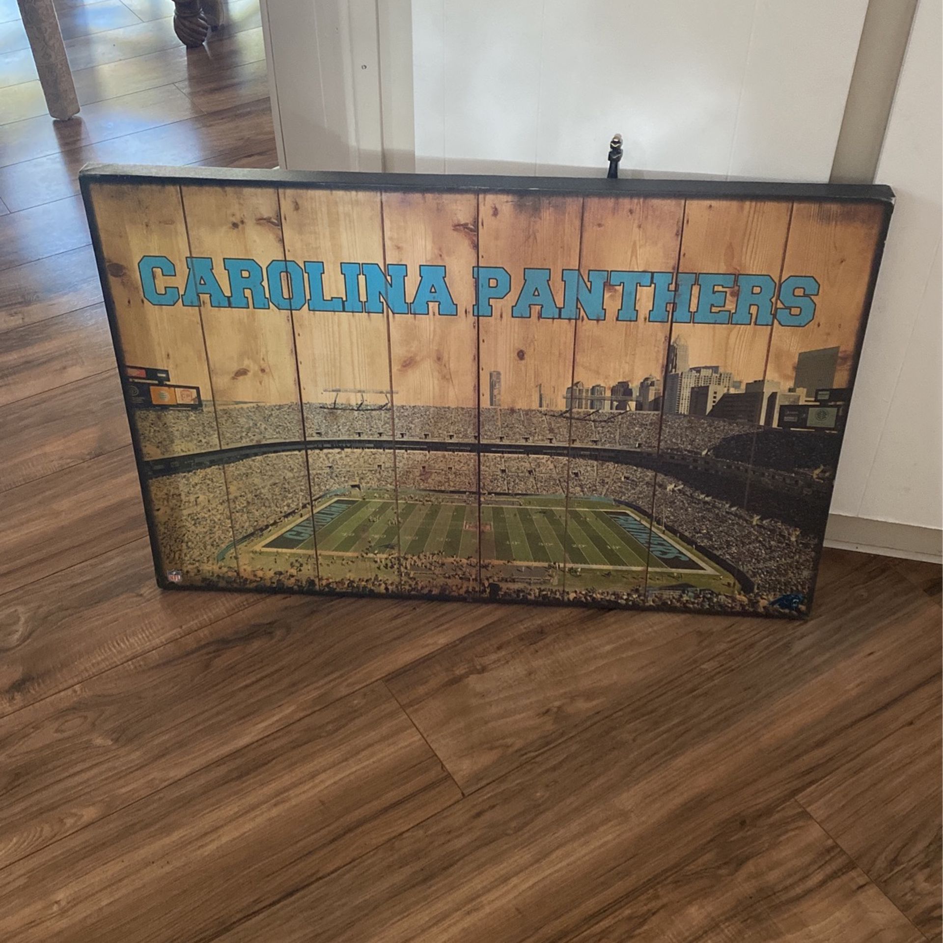 Carolina Panthers Canvas