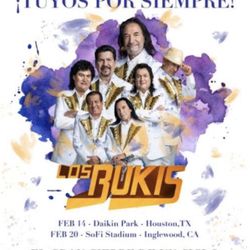 2 Tickets Los Bukis