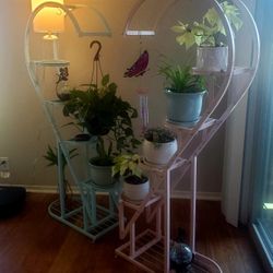 Heart Shaped Shelves 