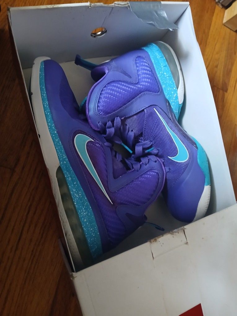 Nike LeBron 9 Lake Summits