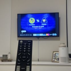 40inch non smart tv  insignia