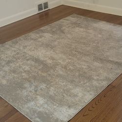 5x7 gray area rug