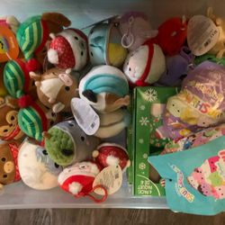 Mini Squishmallows And Blind Bags 