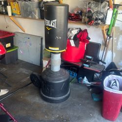 Everlast Punching Bag