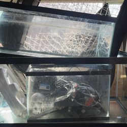 Aquarium Tanks/decorations/Filter