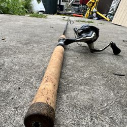 Fishing Rod & Reel 