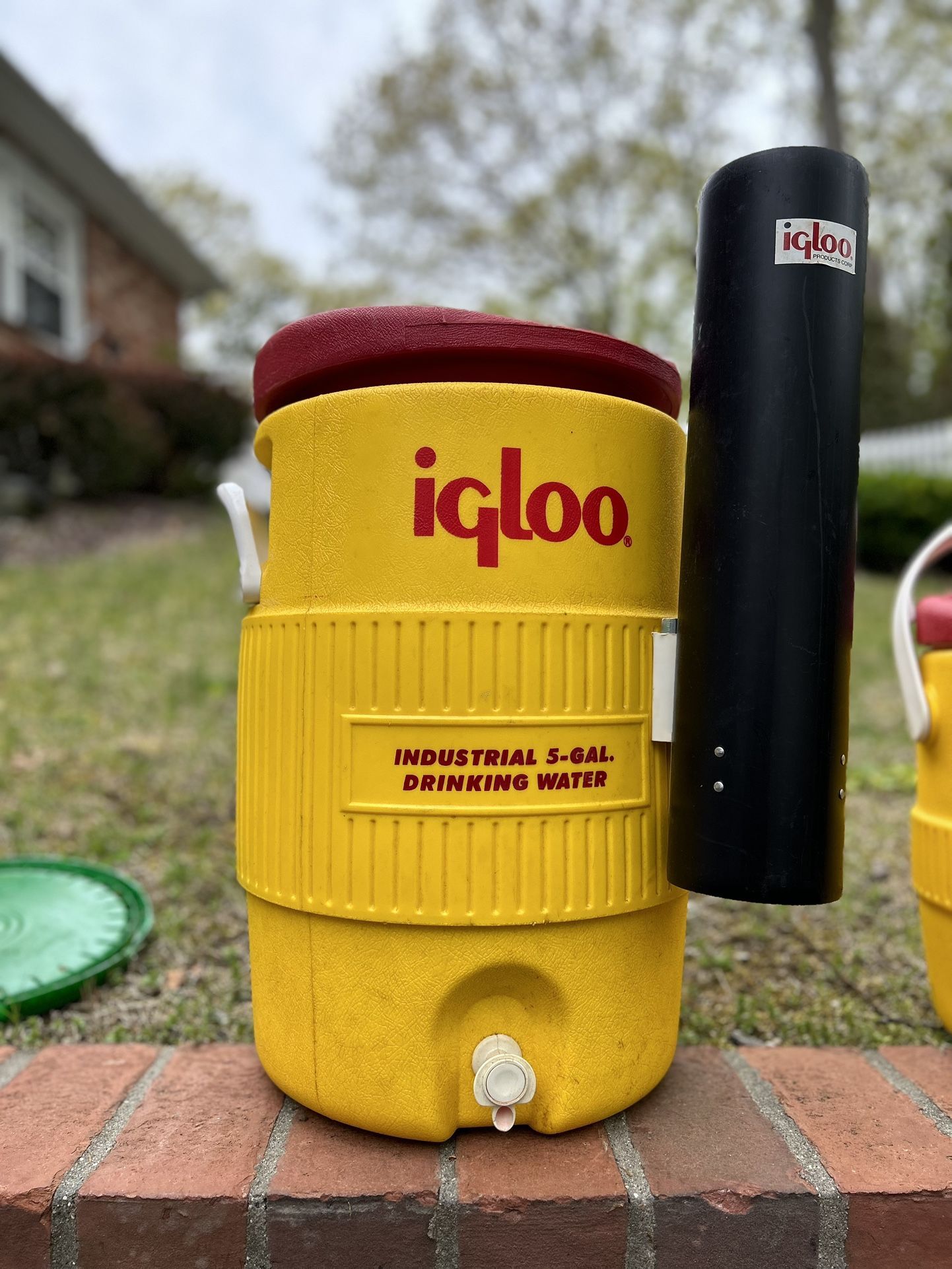 Igloo Cooler