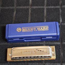 Hohner blues Harp 