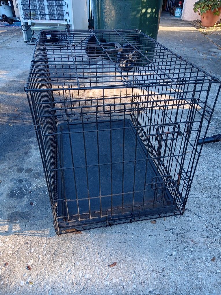 Dog Cage