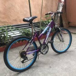 Roadmaster Bike