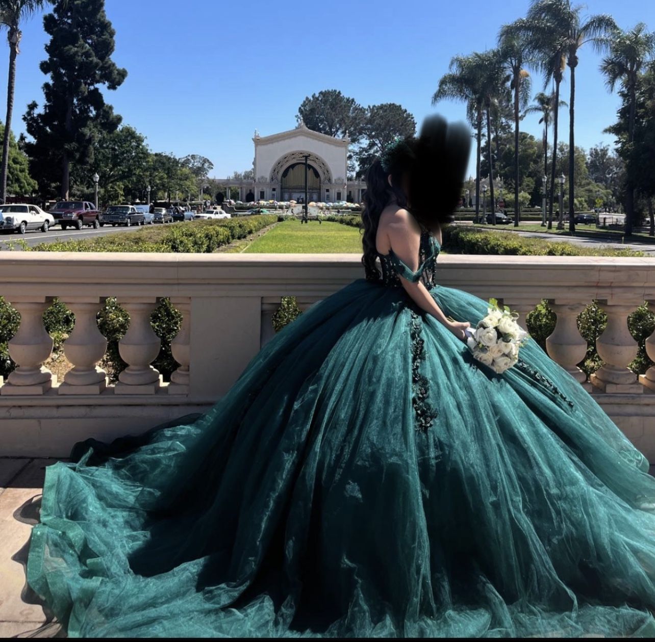 Quinceñera Dress 