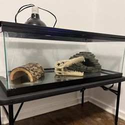 Snake Tank For Sale