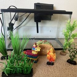 Fish Tank 5gallons