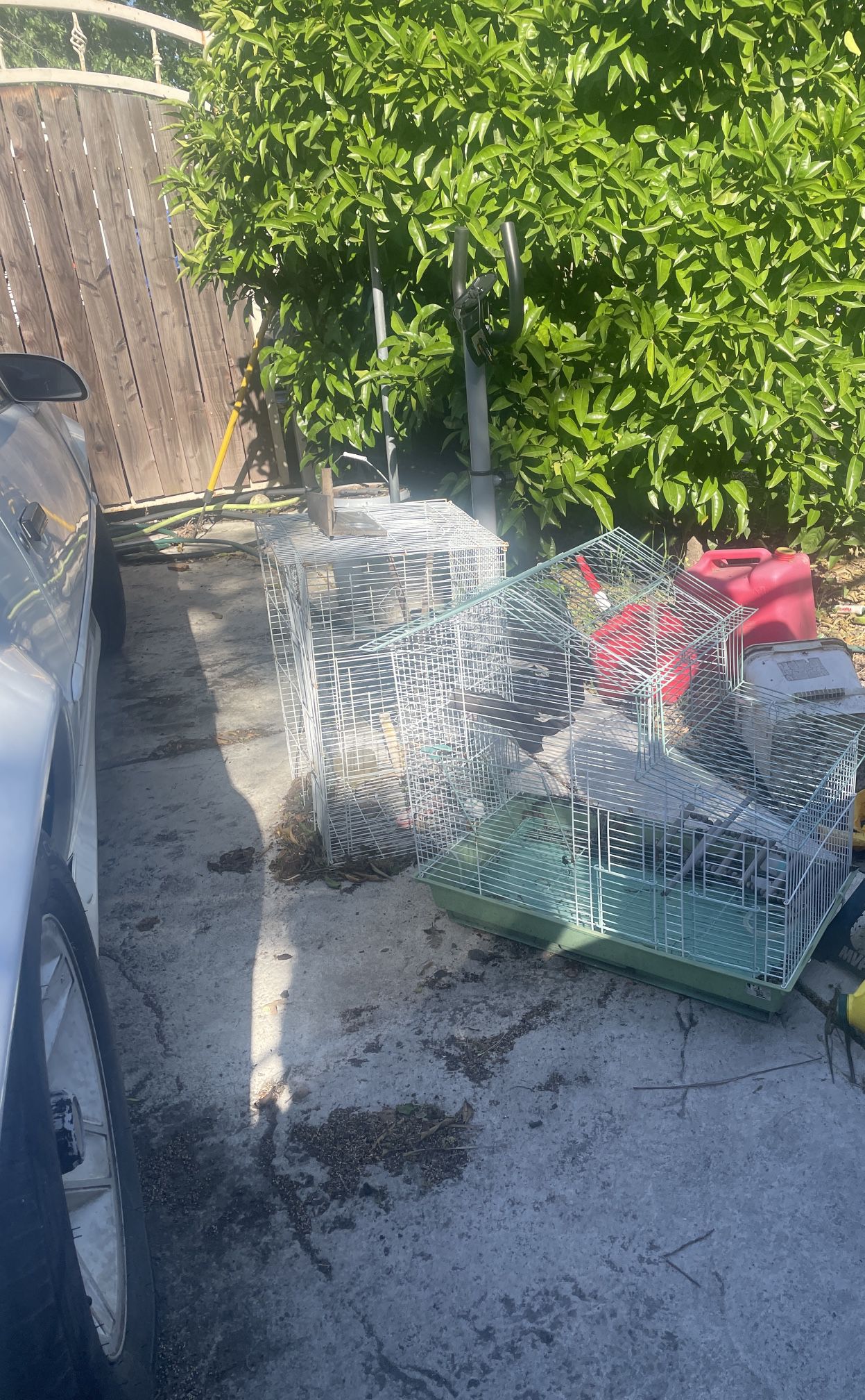 Bird Cages Good Condition 
