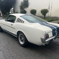 1965 Mustang Fastback 