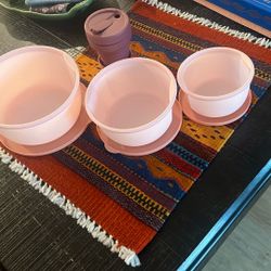 Food Containers - Lunch 