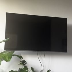 65in Fire TV