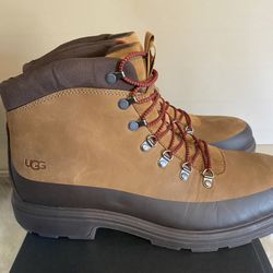 Ugg  M Chestnut  Size  13