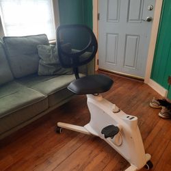 Flexispot Fitness Chair