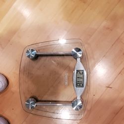Taylor Digital Weight Scale For Sale
