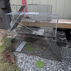 Havahart Lg. Live Catch Cage Traps For Cats & Raccoons (3)