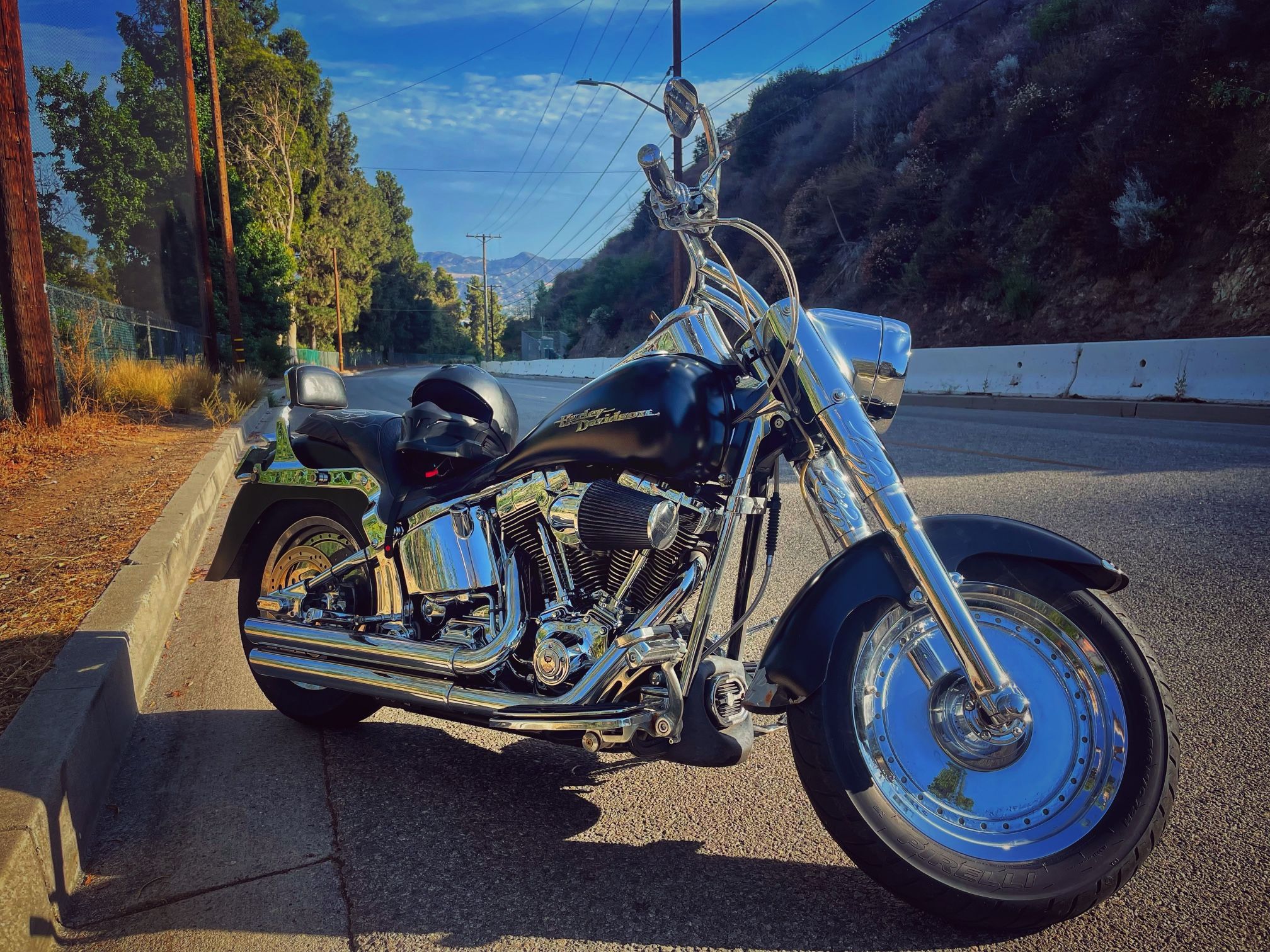 2004 Harley Davidson Fatboy